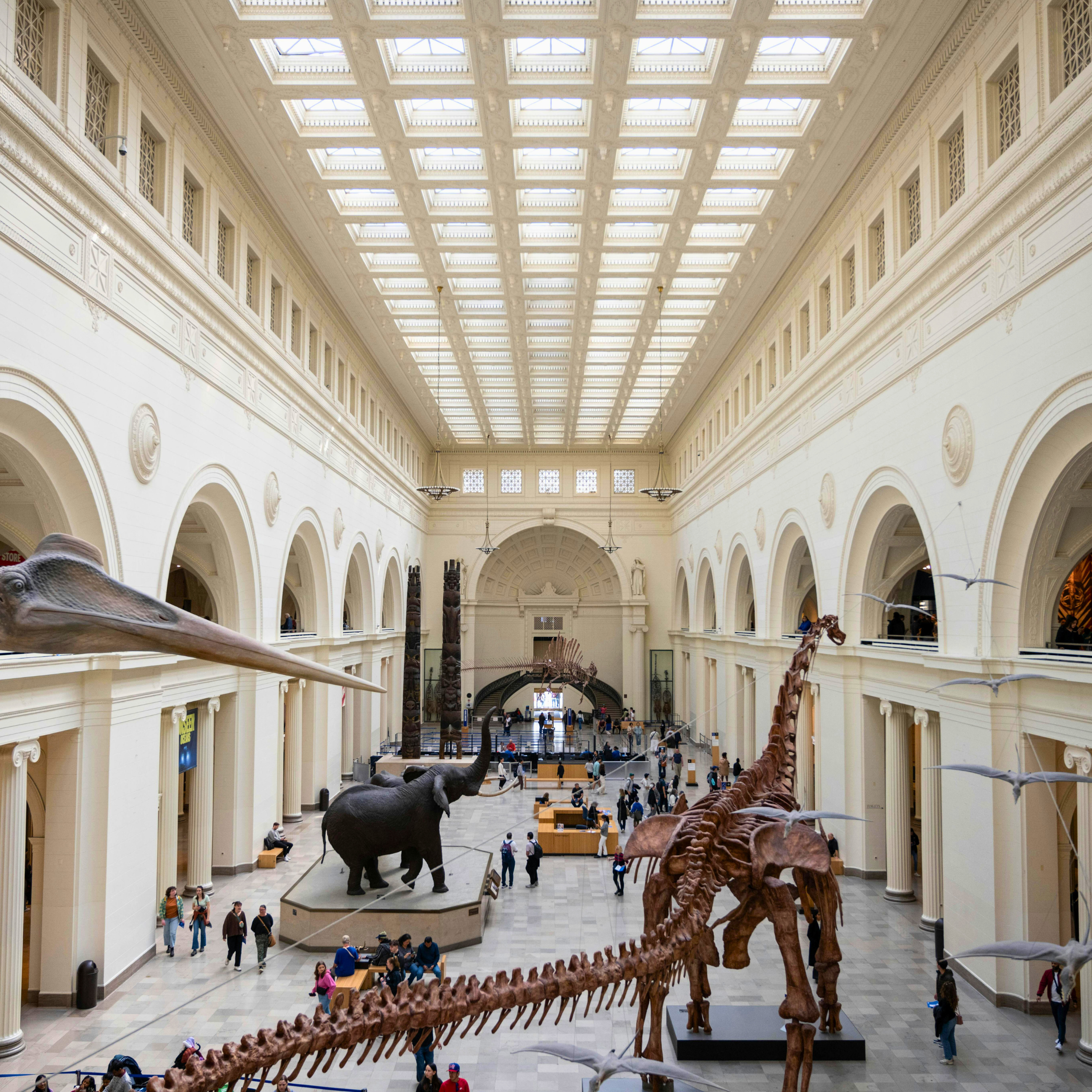 The inside of the Field Museum in Chicago - add to your itinerary for 2 days in Chicago