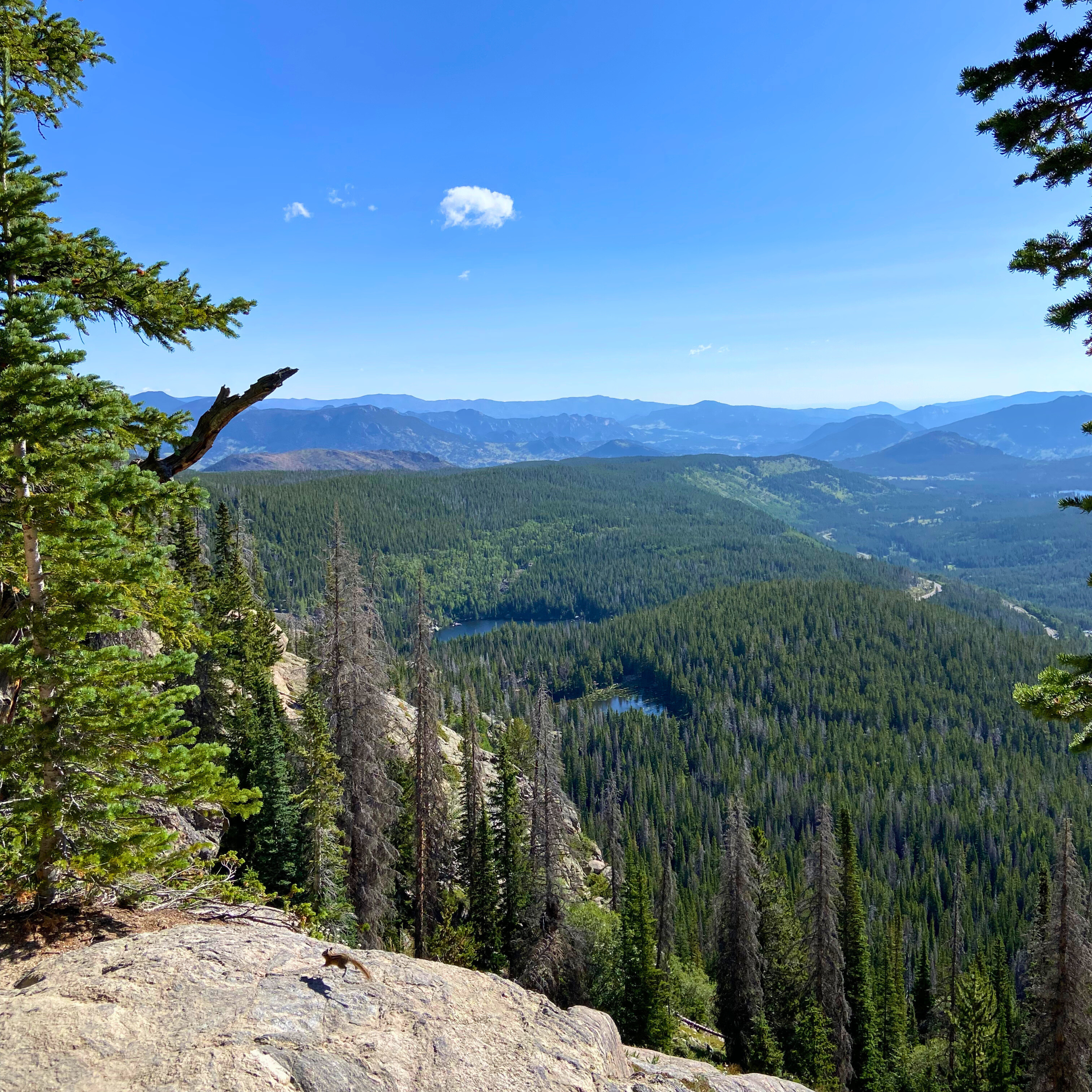 View from a hike at Rocky Mountain National Park