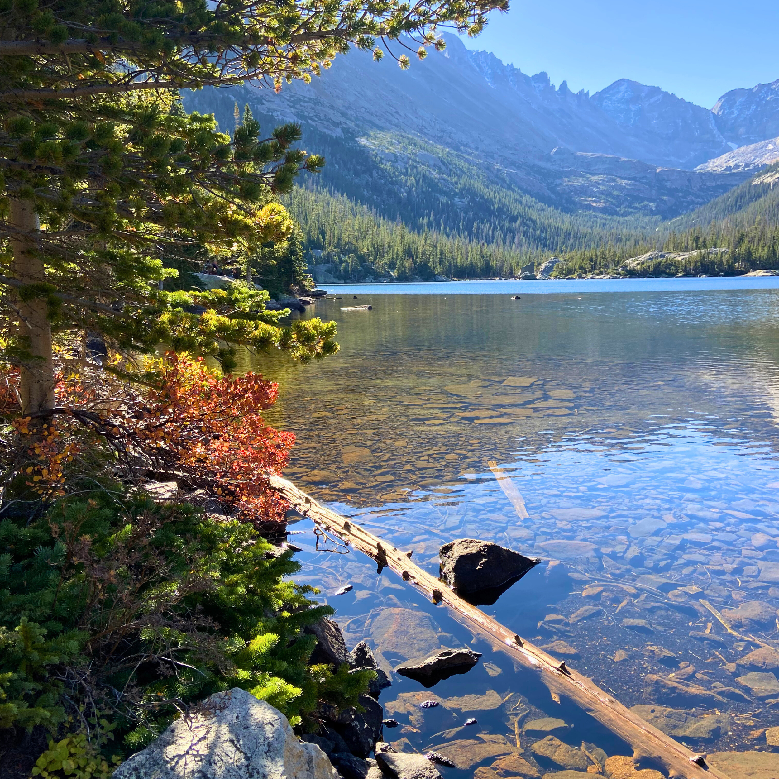 Rocky Mountain National Park in the fall - One of the best Rocky Mountain National Park tips is to visit in the fall to see more wildlife.